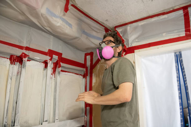 Best Mold Documentation for Insurance Claims  in Long Beach, CA
